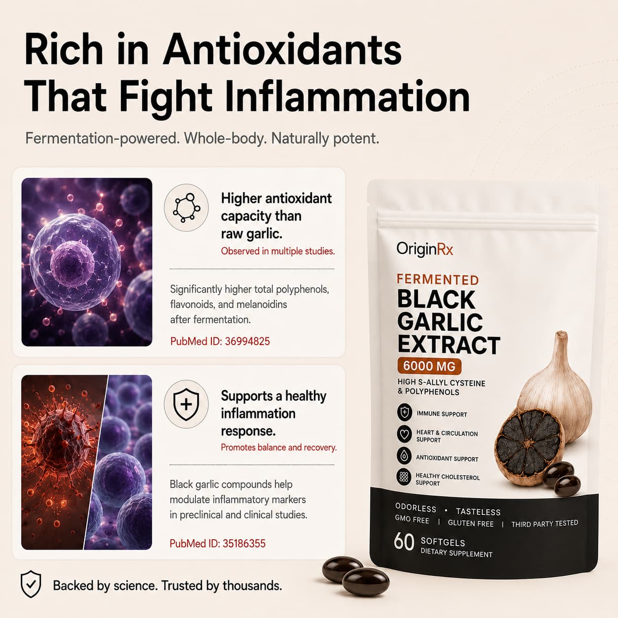 OriginRx Fermented Black Garlic Extract