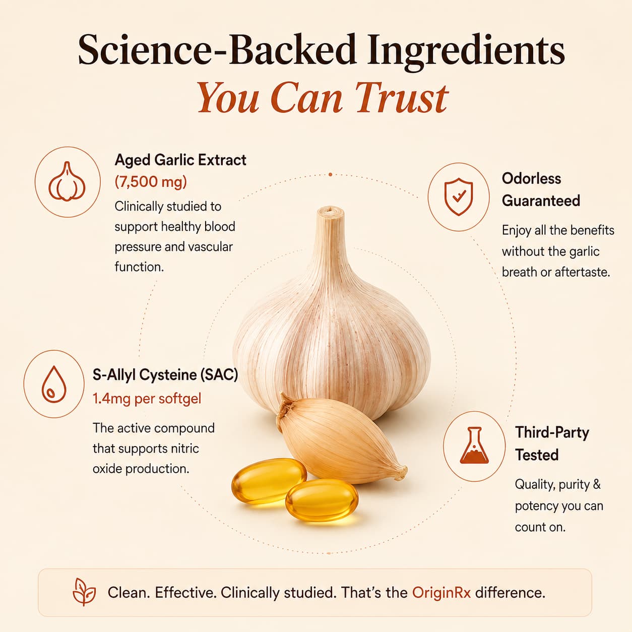 OriginRx Aged Garlic Extract
